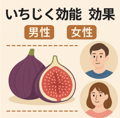 いちじく効能 男性女性